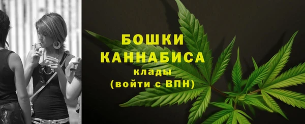 крисы Медвежьегорск