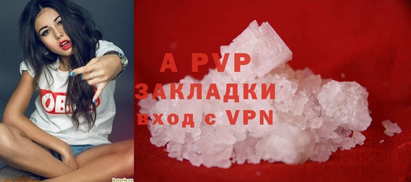 крисы Медвежьегорск