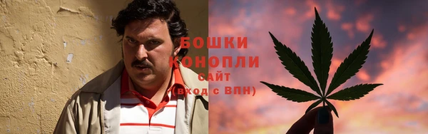 ешки Медногорск