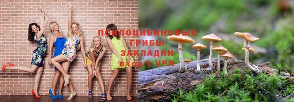 ешки Медногорск