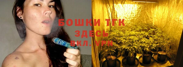 крисы Медвежьегорск