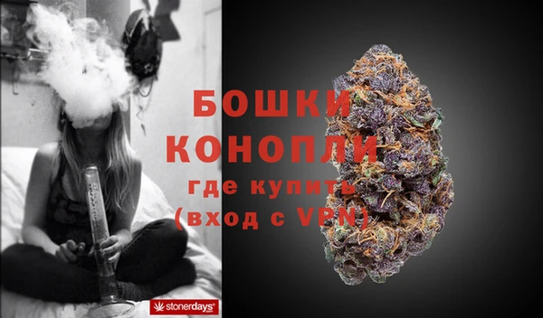 винт Мегион