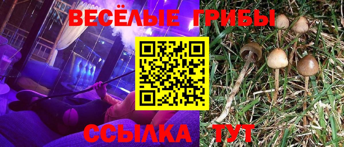 Псилоцибиновые грибы Psilocybine cubensis  купить   Тихвин  Вход с VPN  Псилоцибиновые грибы мухоморы 